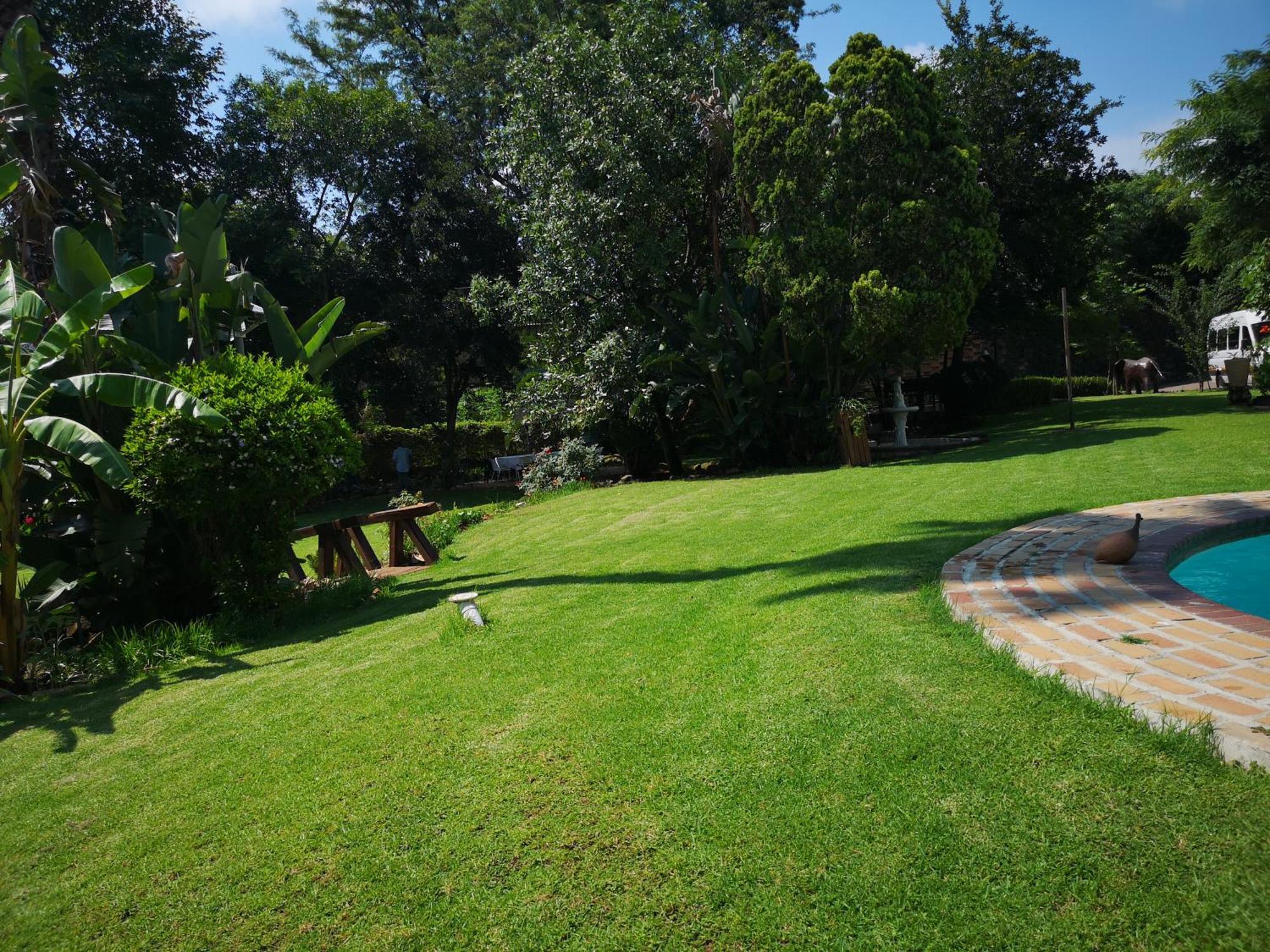 Lotus Guest House Johannesburg Eksteriør bilde